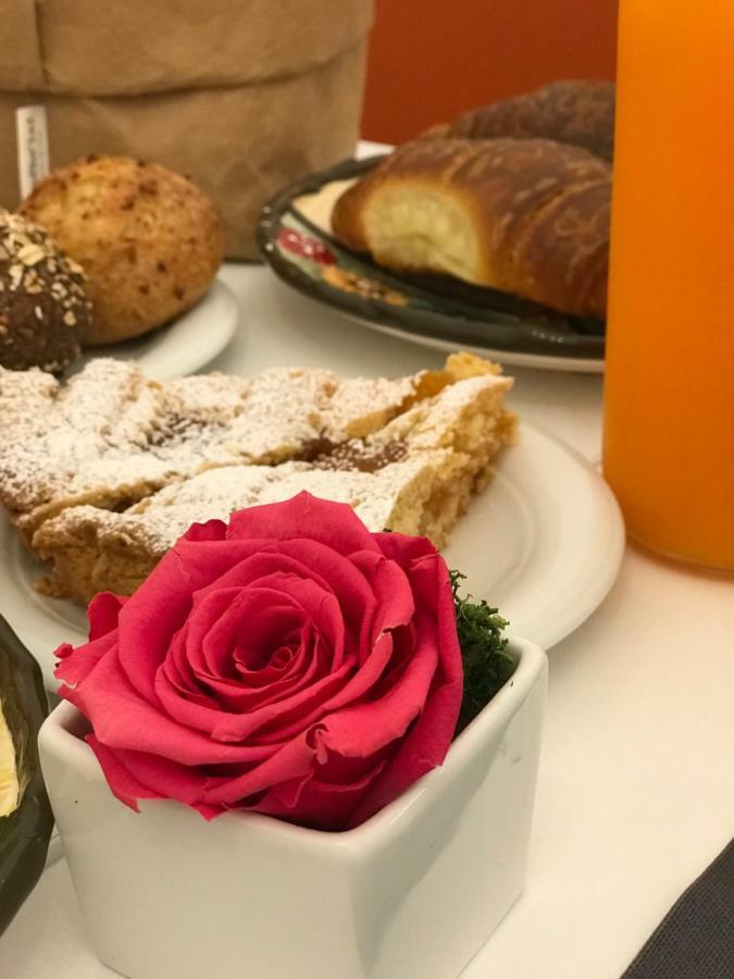 B&B Via Roma 25 アレッツォ エクステリア 写真